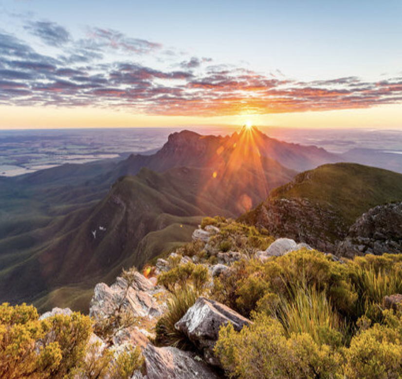 screenshot 2026 01 16 at 1.34.37 am